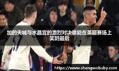 加的夫城与水晶宫的激烈对决谁能在英超赛场上笑到最后